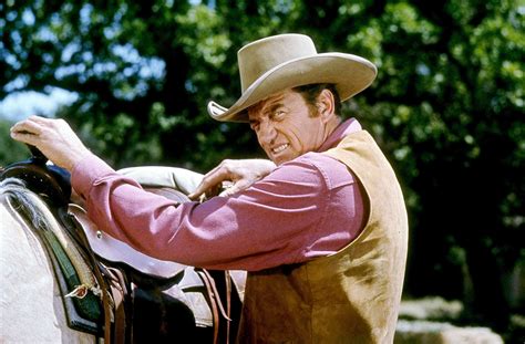 matt dillon's horse on gunsmoke